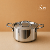 Triply Multi Cooking Pot with Lid | Induction Compatible - Stainless Steel