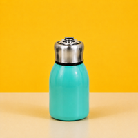 Vacuum Flask Stainless Steel Water Bottle – Hot & Cold | Travel Flask 300ml - No Colour Choice