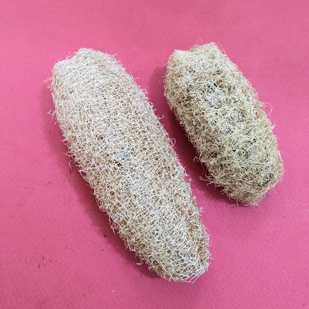 Sun Dried Natural Loofah Sponge 