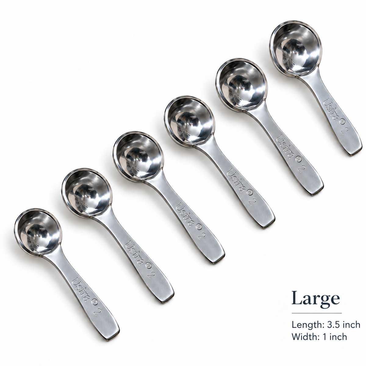 Annam's Ghee Spoon in stainless steel – set of 6, Large 3.5 inch