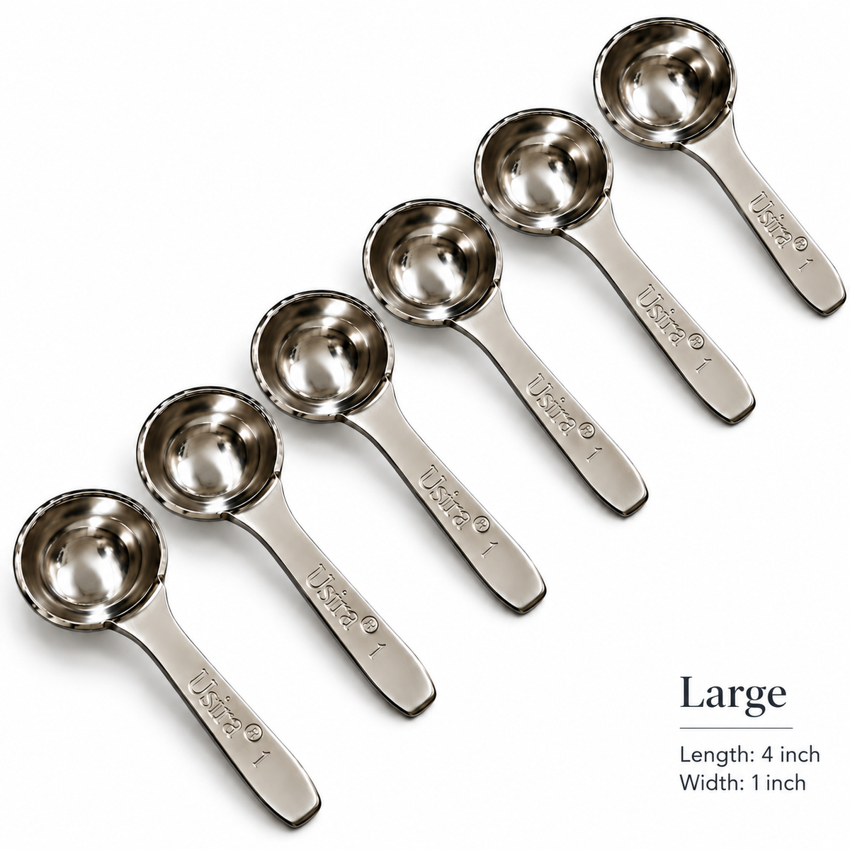 Annam's Oil Spoon in stainless steel – set of 6, Large 4 inch