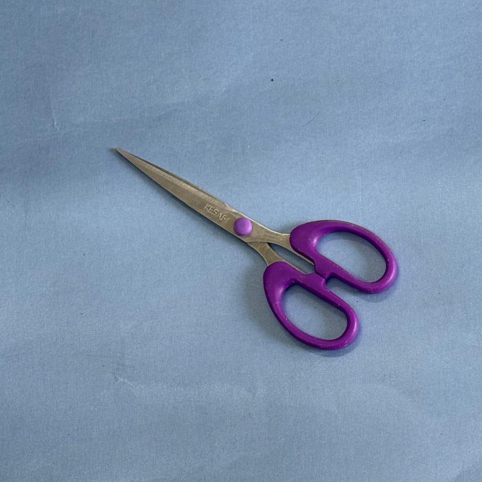 Kitchen Scissors –Multipurpose Herb & Vegetable Cutter Stainless Steel